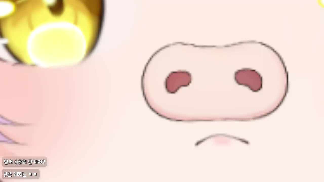 마녀돼지